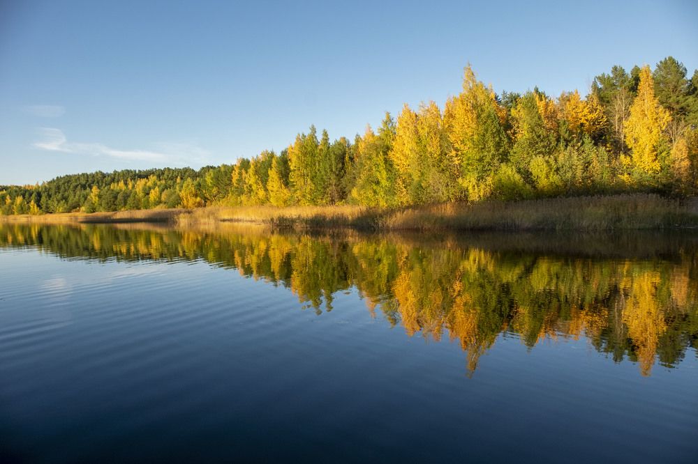 Photograph by Елена Маракулина