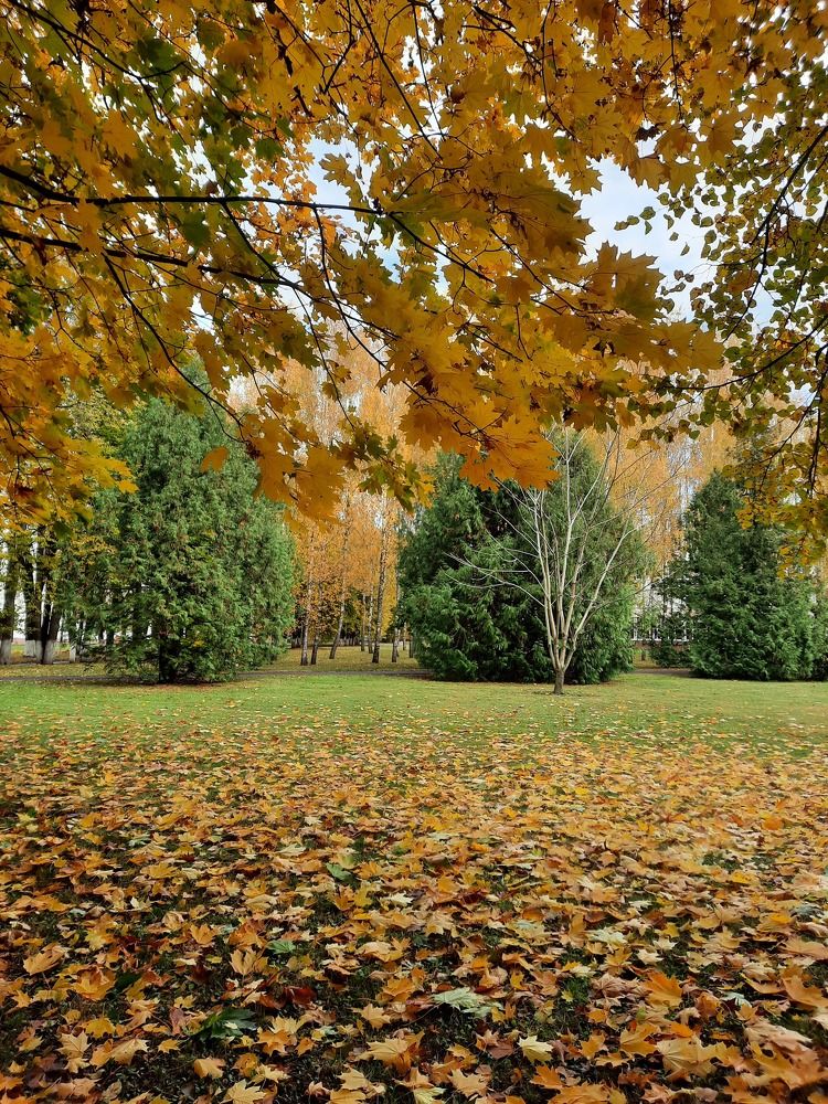 Photograph by Елена Симонова