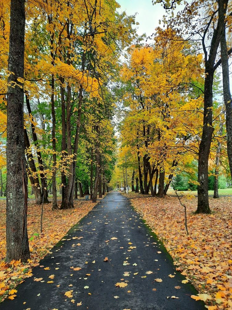 Photograph by Елена Симонова