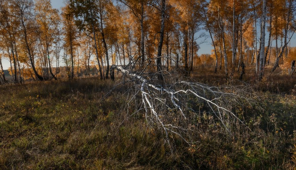 Photograph by Валерий Туманов