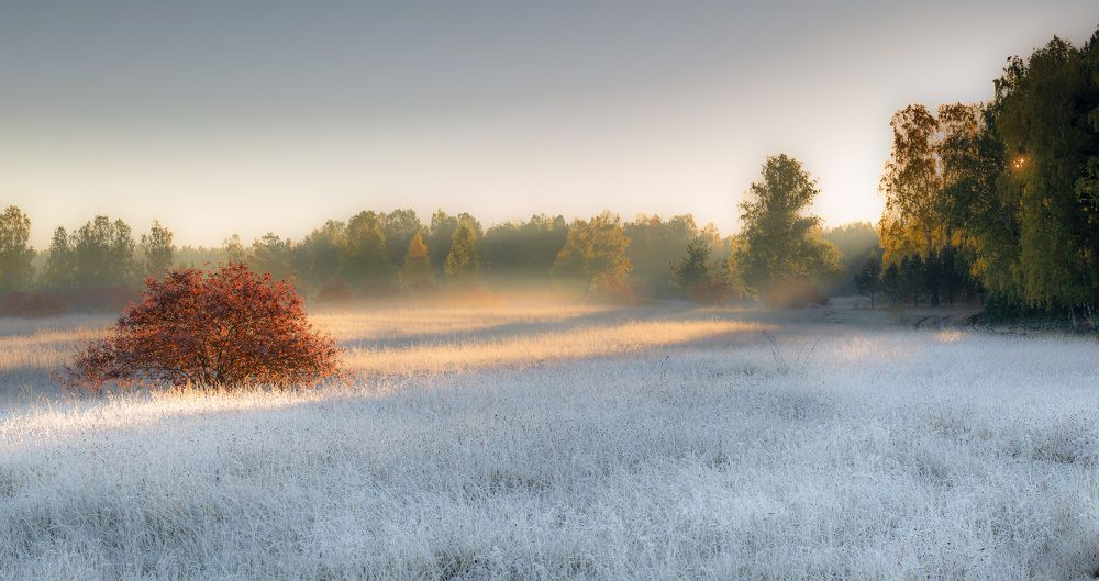 Photograph by Валерий Туманов