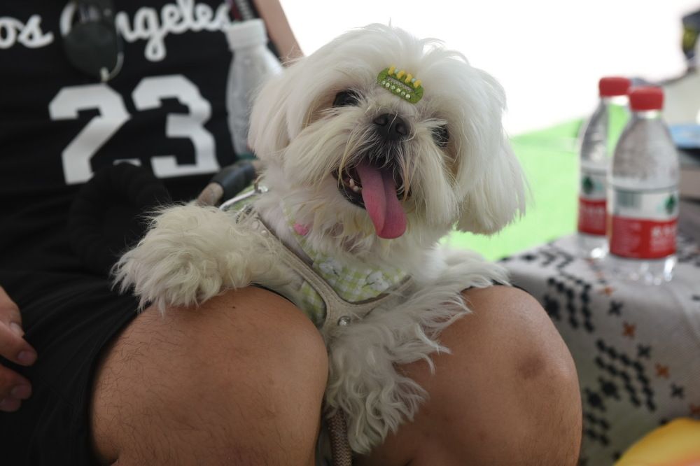 Photograph by Марина Степаненко