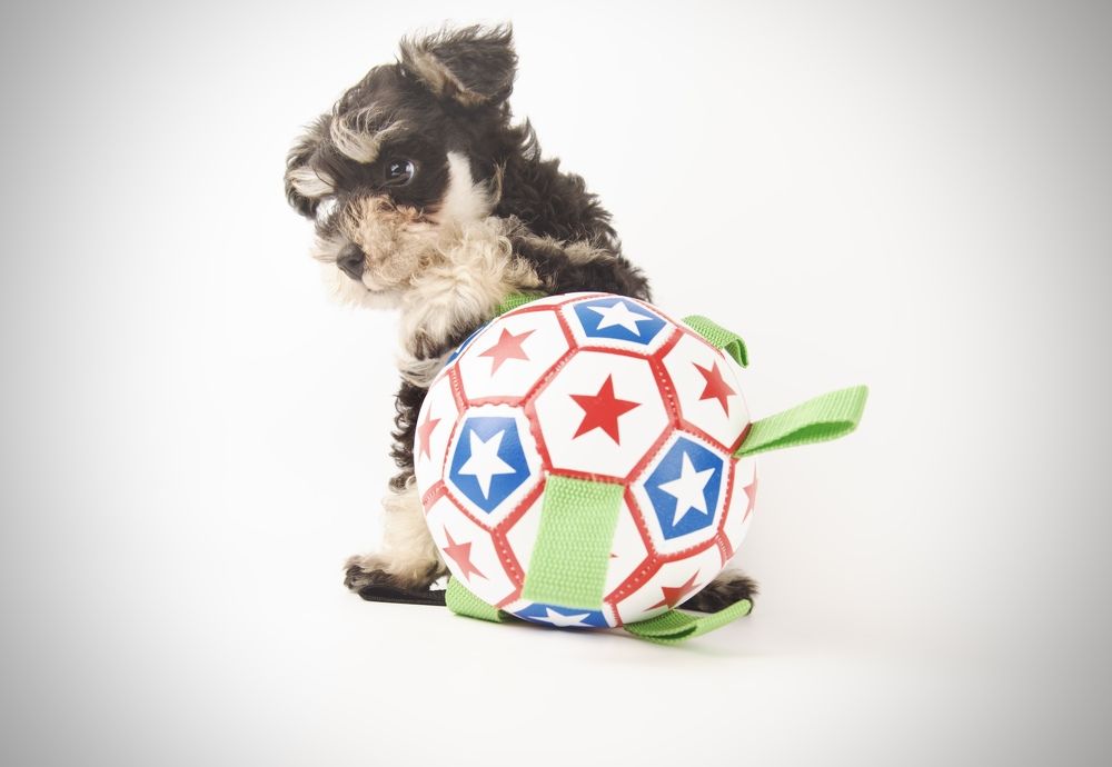 Photograph by Марина Степаненко