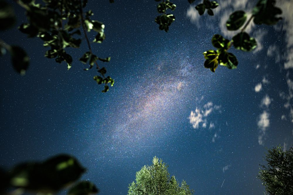 Photograph by Инна Фокина