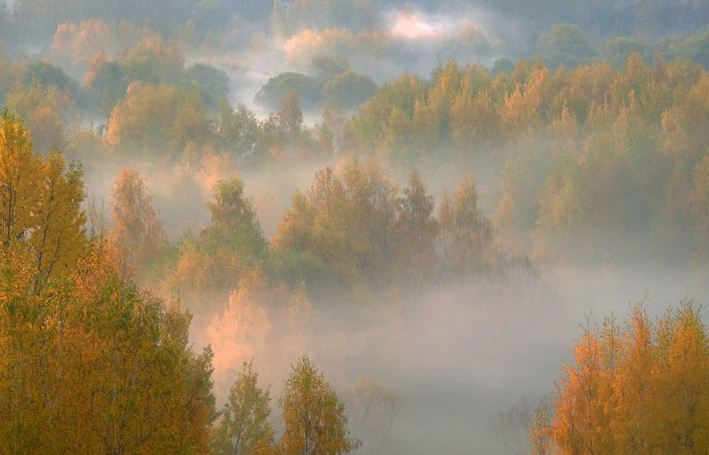 Photograph by Елена Маракулина