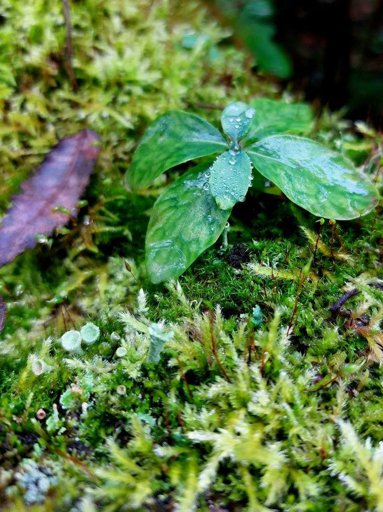 Photograph by Татьяна