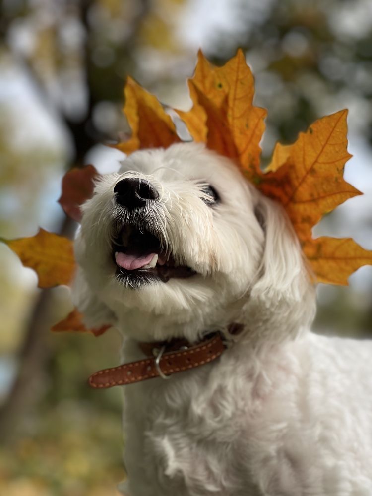 Фотография автора Алина