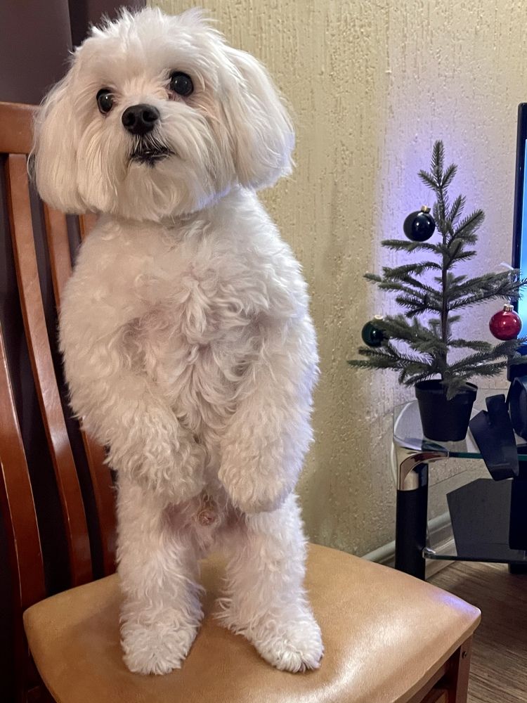 Фотография автора Алина