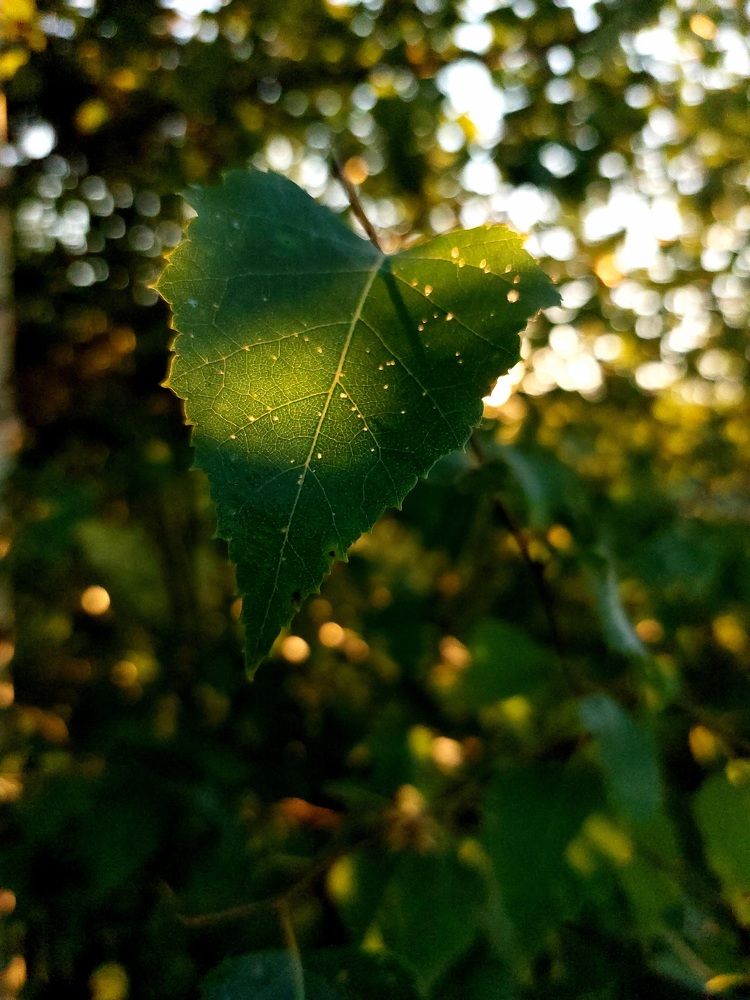 Photograph by Татьяна