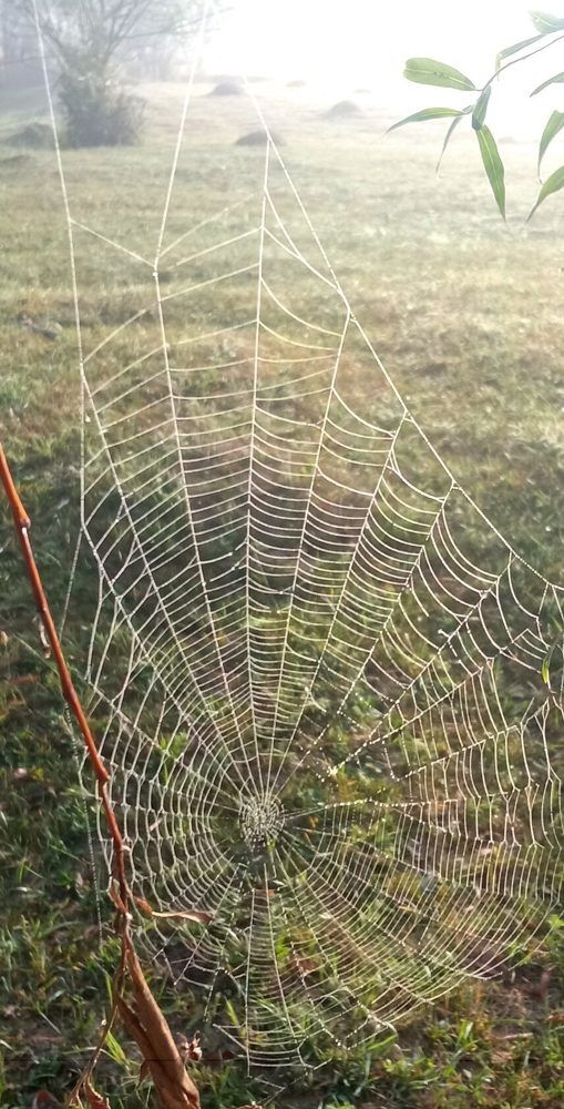 Фотография автора Ирина