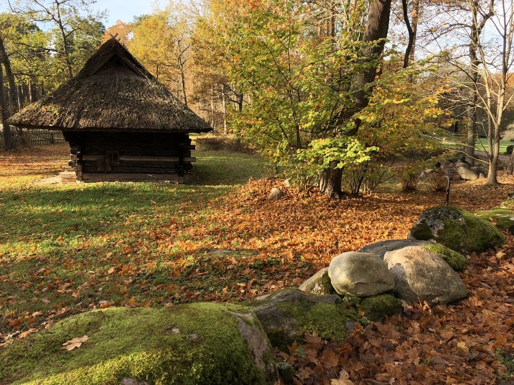 Photograph by Ирина