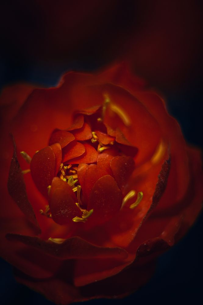 Photograph by Александр Жариков