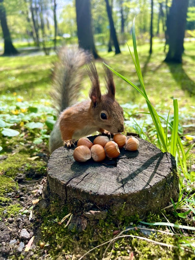 Photograph by Ирина