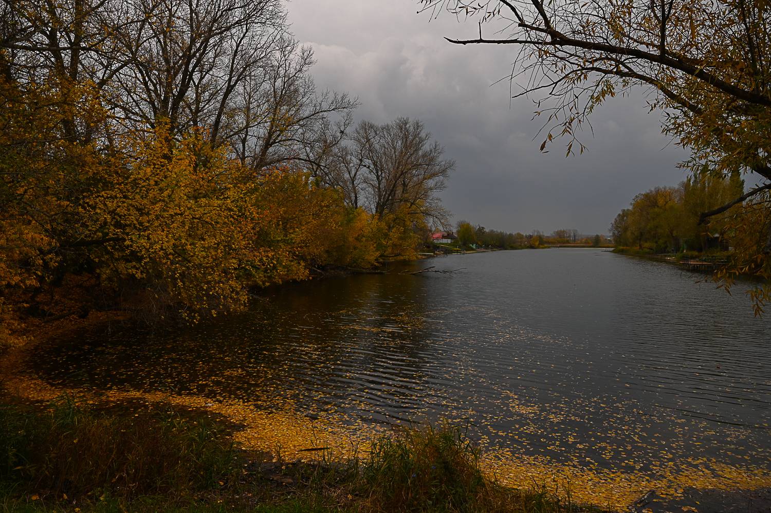 Photo #9704978