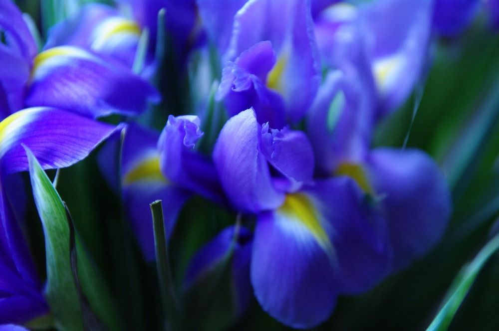 Photograph by Ирина