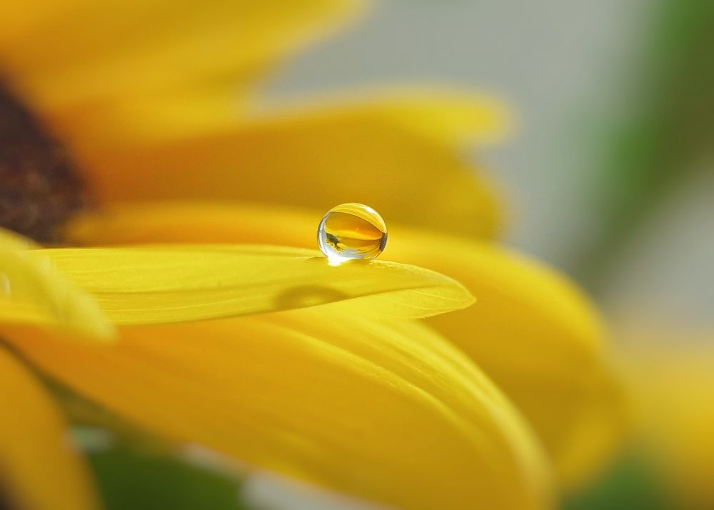 Photograph by NGUYEN LIEN
