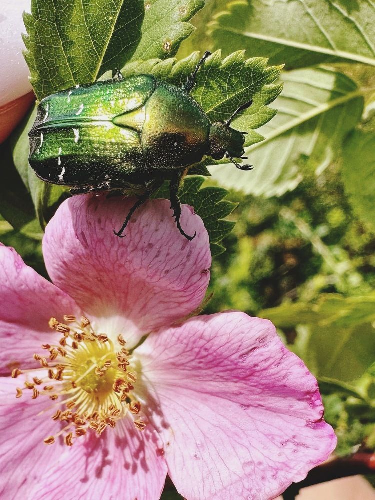 Photograph by Татьяна Галаева