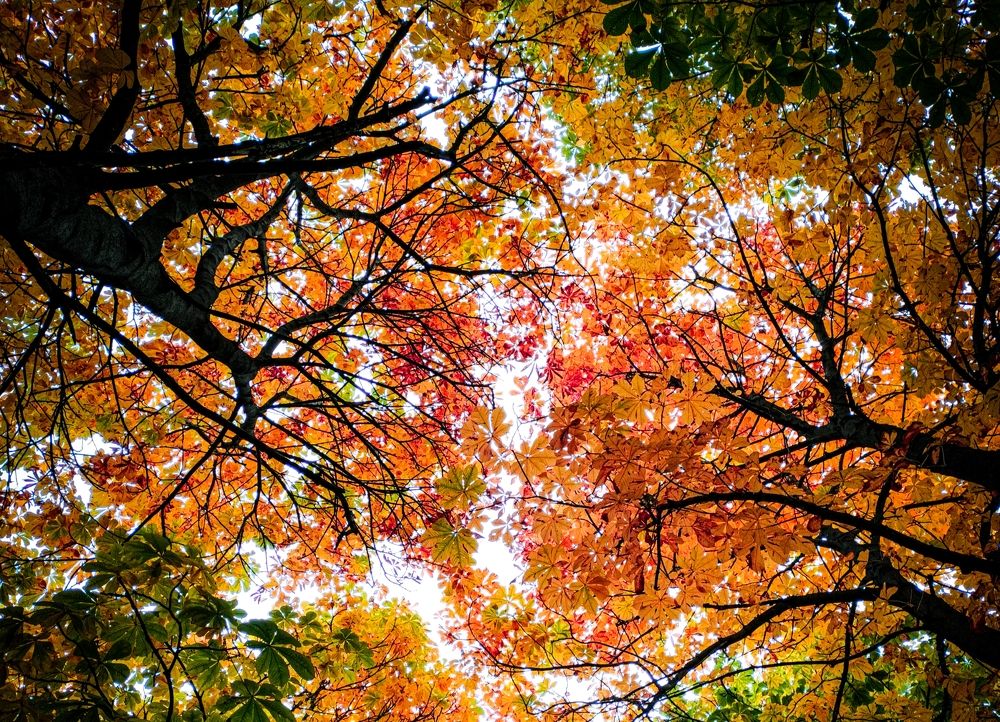 Фотография автора Дмитрий Писарев