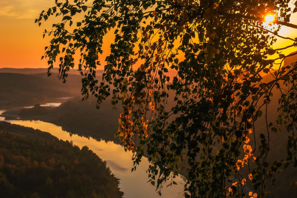 Photograph by Александр Жариков