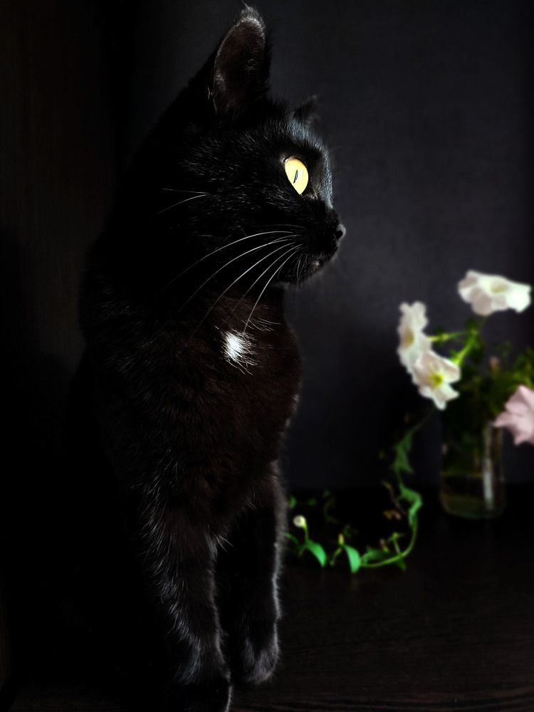 Photograph by Наталья Коншина