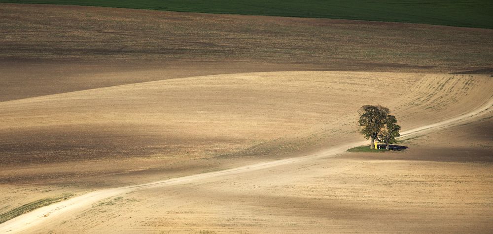 Photograph by Владимир Остапенко