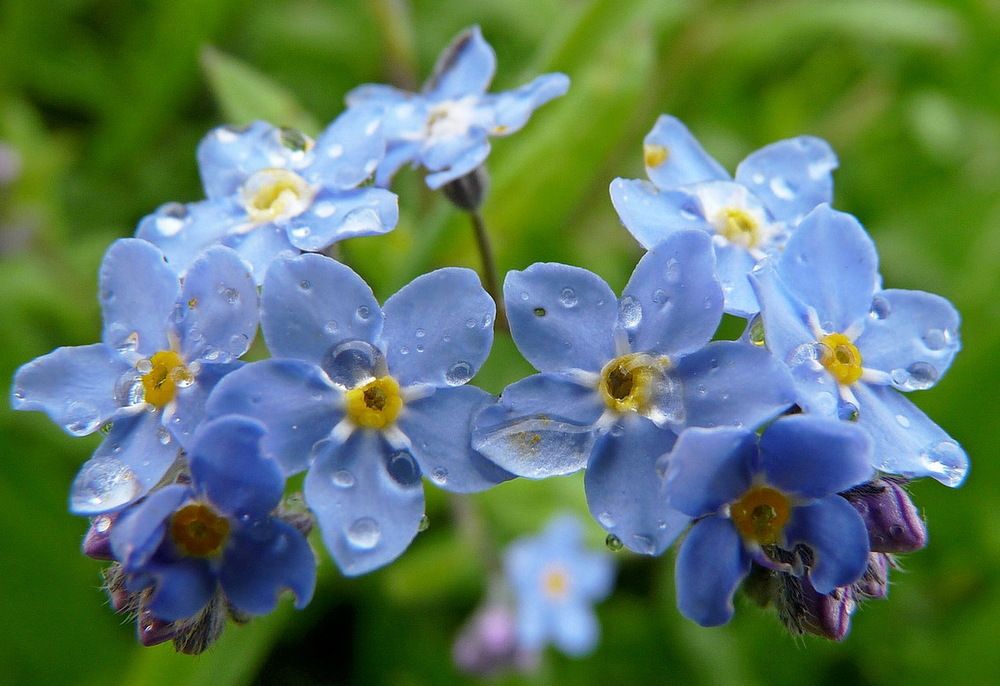 Photograph by Игорь Меньшенин