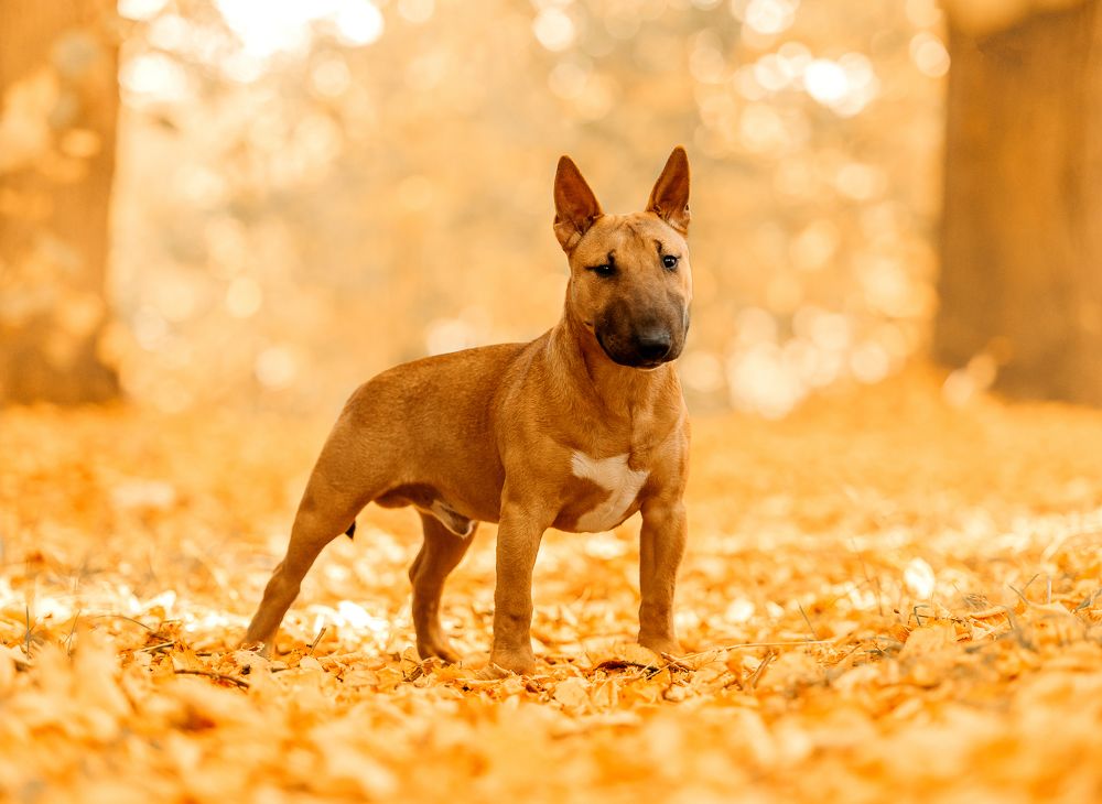 Photograph by Дарья Лисицына