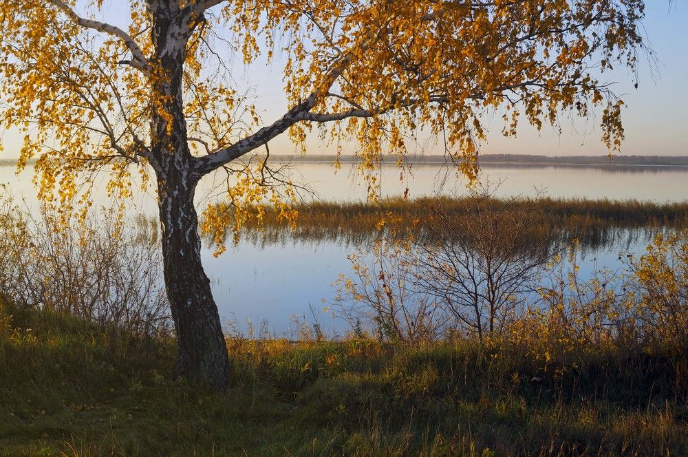 Photograph by Мишустина Татьяна