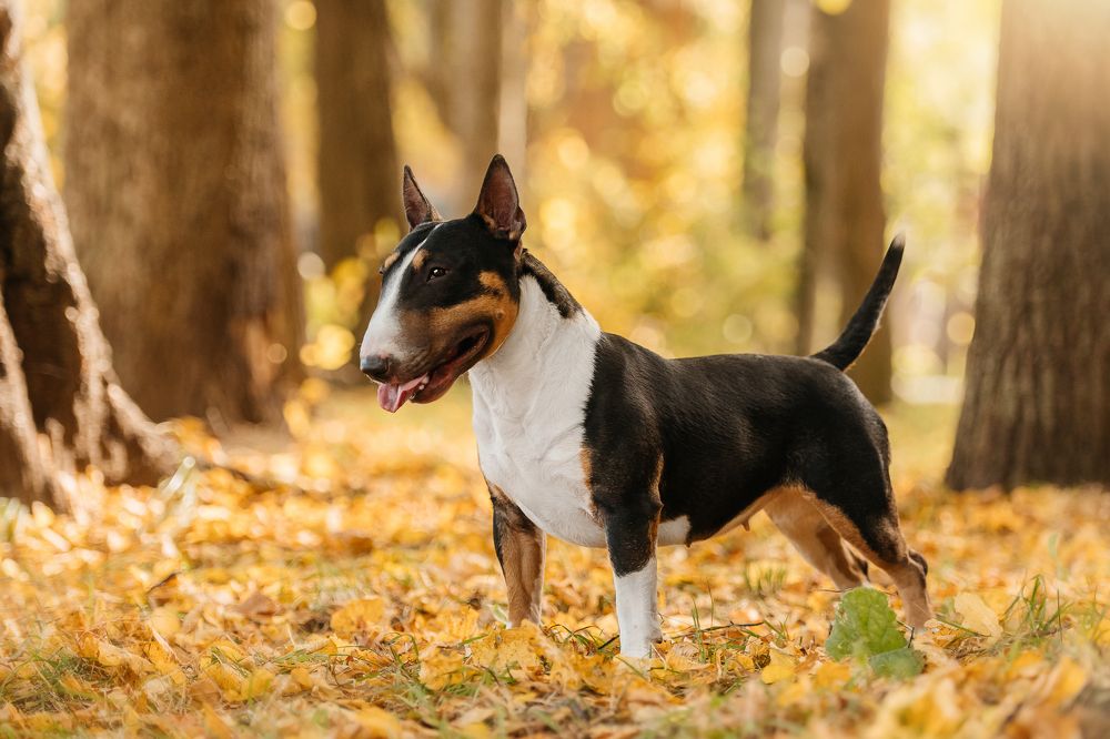 Photograph by Дарья Лисицына