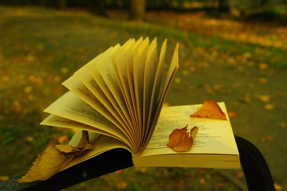 Photograph by Ирина