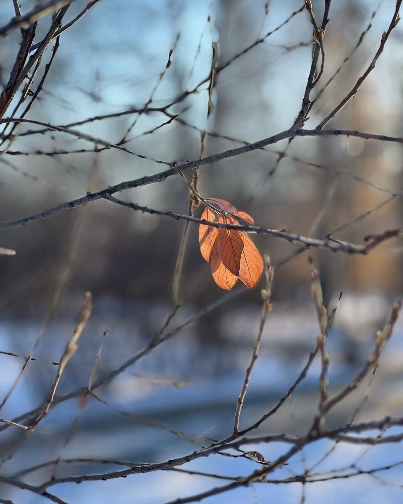 Photograph by Татьяна Волохова