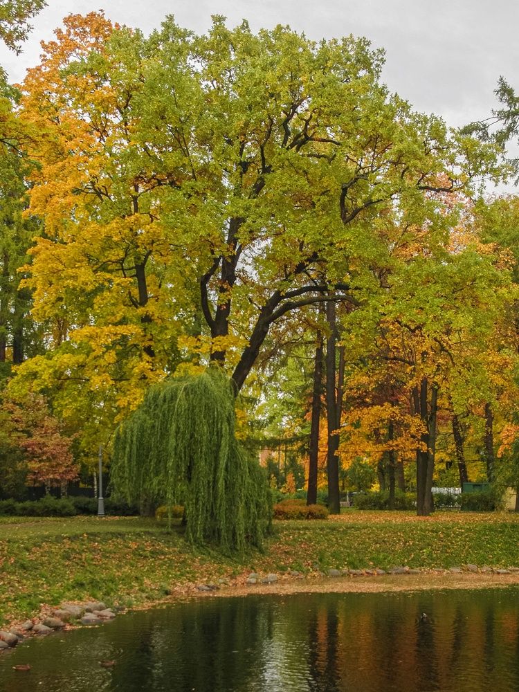 Photograph by Елена