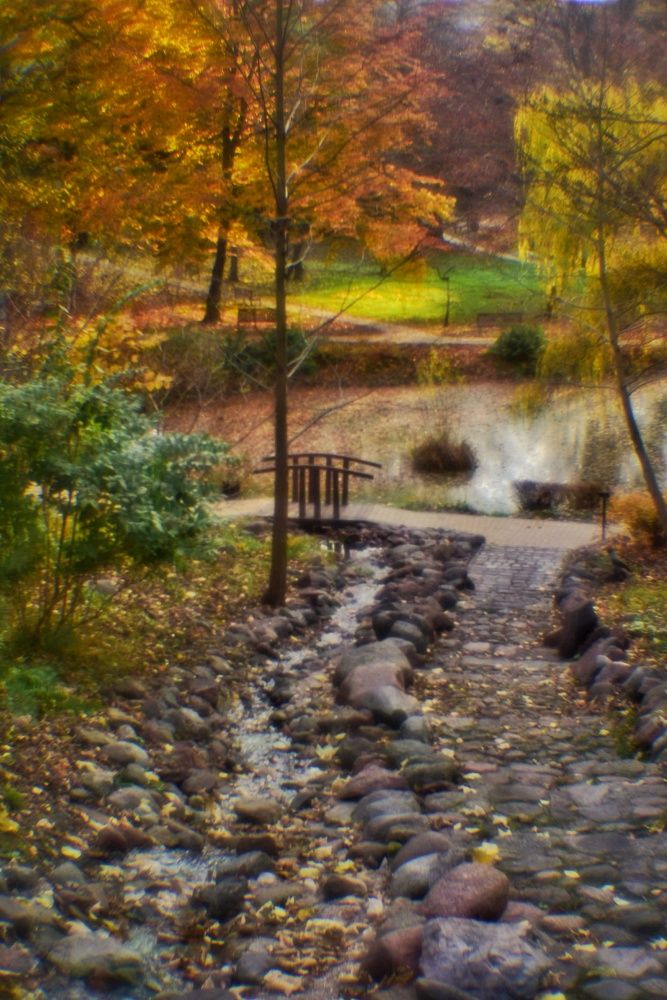 Photograph by Владимир Леликов-Кузьменко