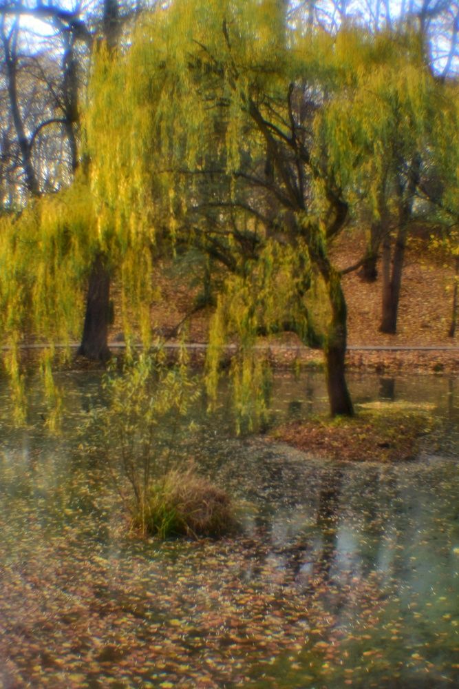 Photograph by Владимир Леликов-Кузьменко