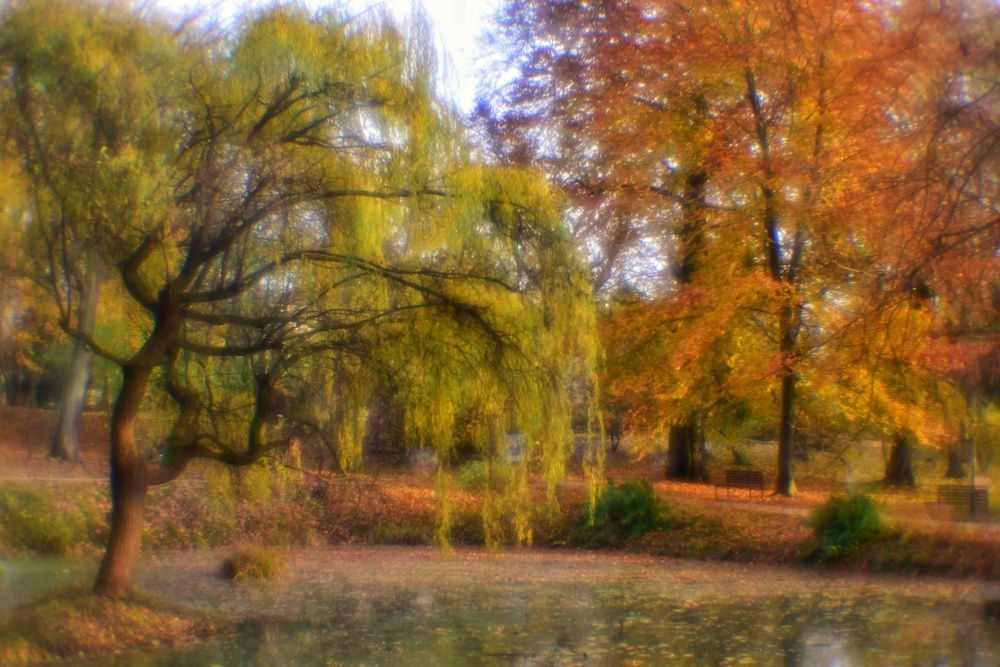 Photograph by Владимир Леликов-Кузьменко