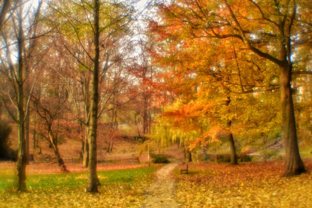 Photograph by Владимир Леликов-Кузьменко