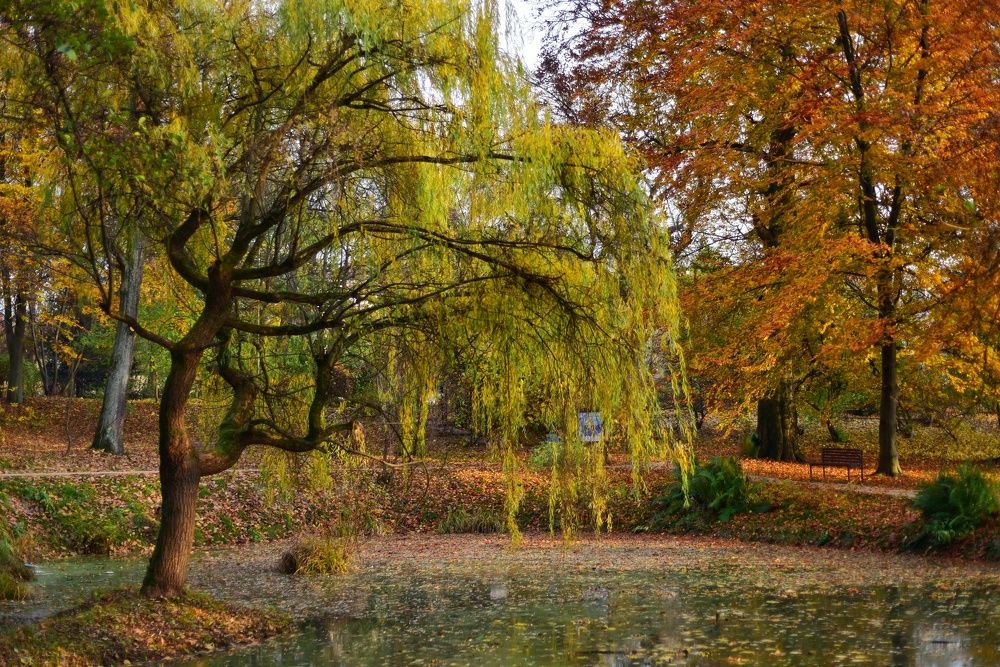 Photograph by Владимир Леликов-Кузьменко
