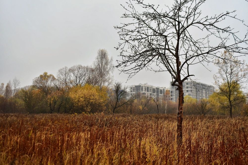 Photograph by Владимир Леликов-Кузьменко