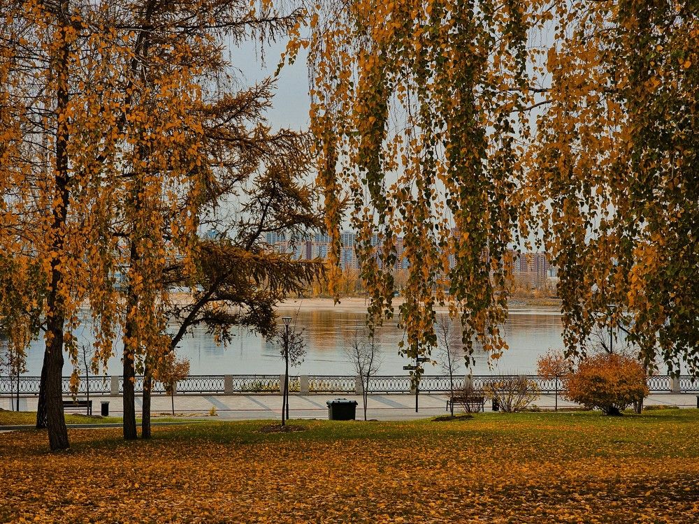 Фотография автора Максим Грибанов