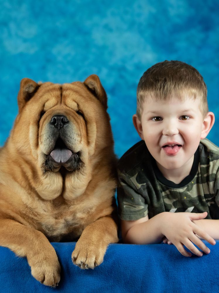 Photograph by Дарья Лисицына