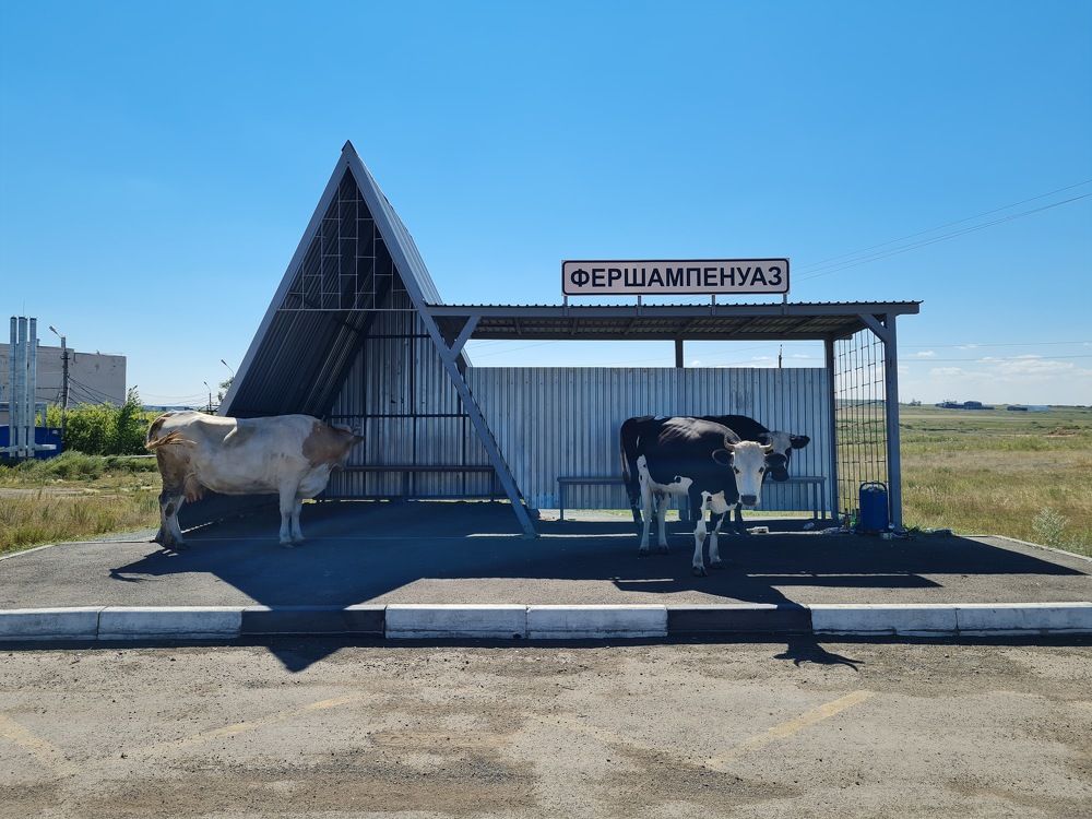 Photograph by Любовь Ершова