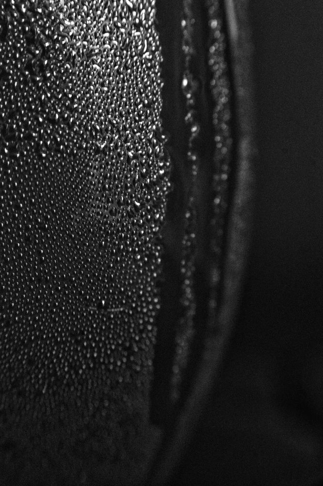 Photograph by Владимир Леликов-Кузьменко