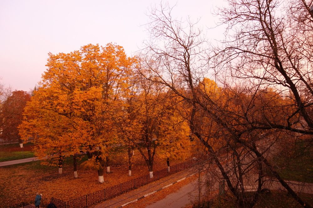 Photograph by Марина Артанова