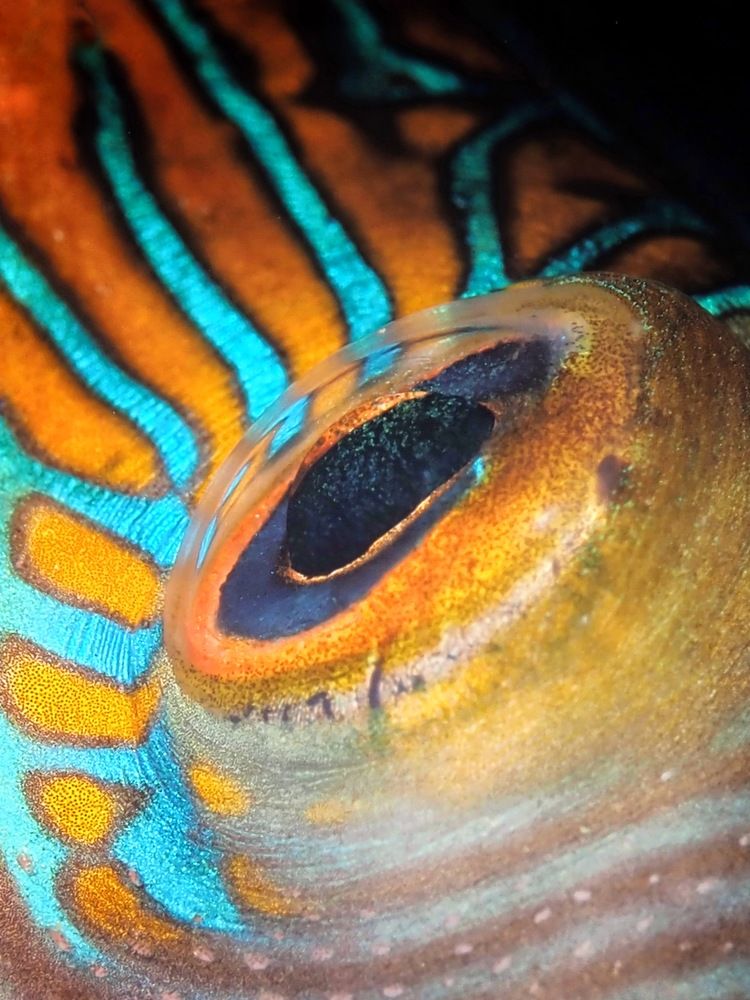 Photograph by Penn De Los Santos