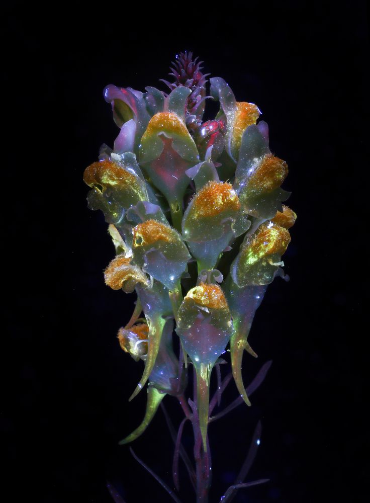 Photograph by Глеб Коровко