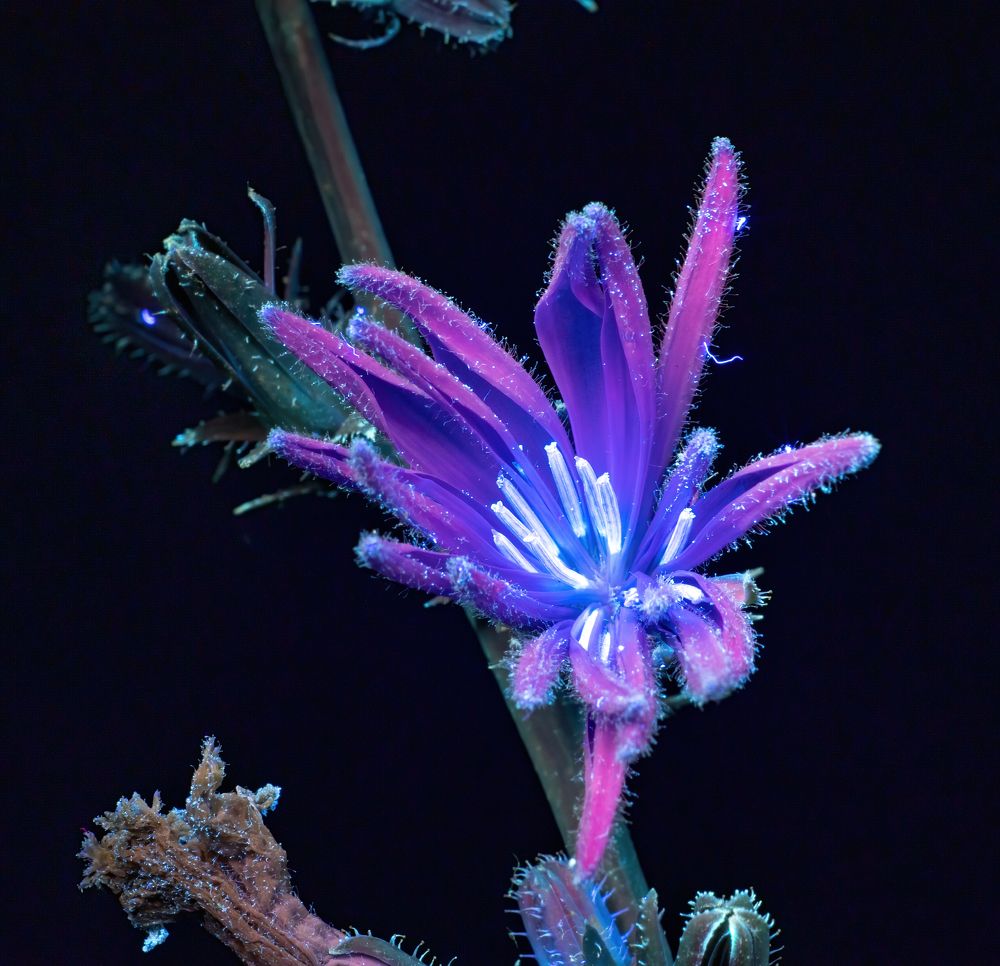 Photograph by Глеб Коровко