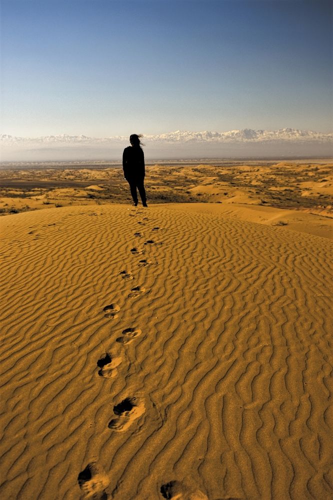 Фотография автора Mehran Nafisi