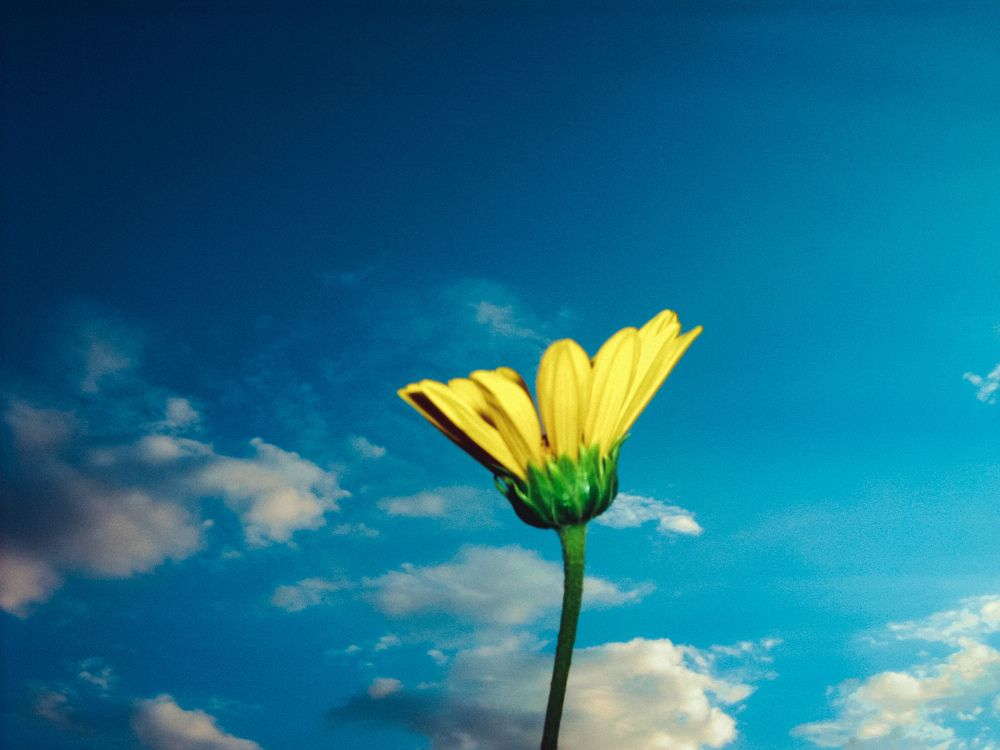 Фотография автора Юлия Гантимурова