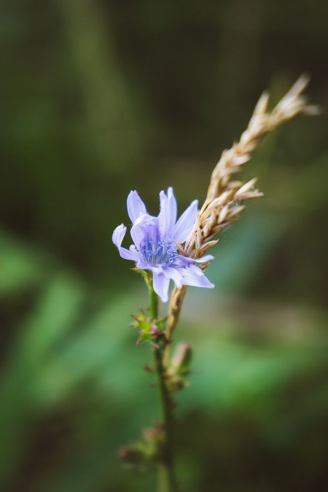 Фотография автора Юлия Гантимурова