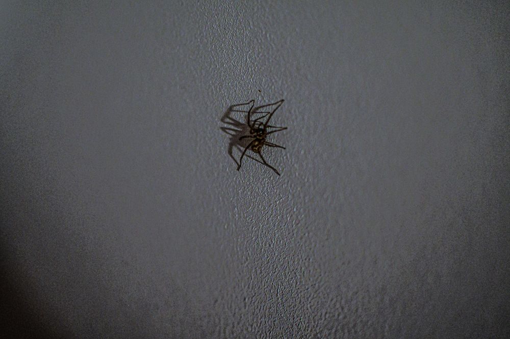 Photograph by Светлана Полушкина